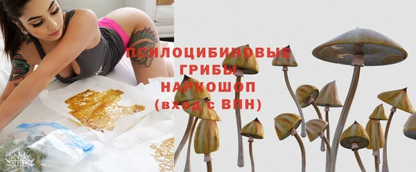 стафф Кинешма