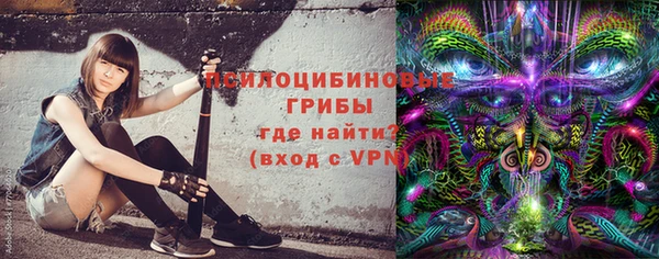 гидра Киренск