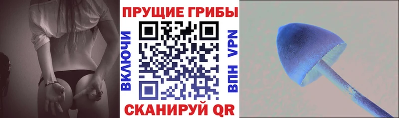 Галлюциногенные грибы ЛСД  Купить  Бузулук 
